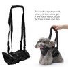 Cat Vest Harnesses Leash Adjustable Breathable Stylish Multifunctional Pet Walking