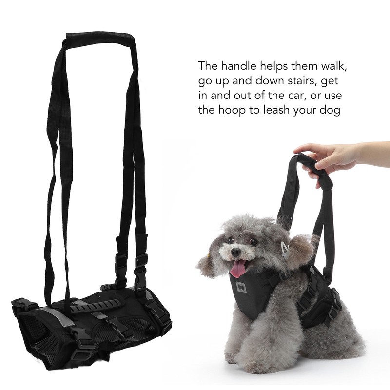 Cat Vest Harnesses Leash Adjustable Breathable Stylish Multifunctional Pet Walking