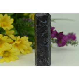 Nature's Enlightenment Indigo Gabbro Crystal Point Wand