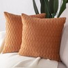 Madizz Pack of 2 Super Soft Velvet Decorative Cushion Covers