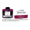 Pilot Iroshizuku Tinta para Pluma Fuente, Morado (Yama-Budo), 50 ml