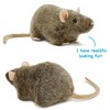 TigerHart Reuben The Rat - 7 Inch Stuffed Animal Plush