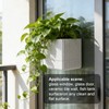 Indoor Self-Watering Planter with Drainage Hole – A Modern-Style Pot