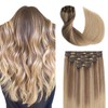 Sindra Clip in Hair Extensions Natural Hair Golden Brown Mixed