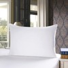 townssilk Both Side 100% 19mm Pure Mulberry Silk Pillowcase for