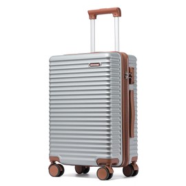 Ruausine 20-Inch Carry on Luggage,Carry-on Suitcase with Spinner Wheels and TSA Lock, 22x14x9 Airline Approved,Hardside Lightweight Travel Carry-on Luggage,Small Rolling Luggage (Silver, 20 lnch)