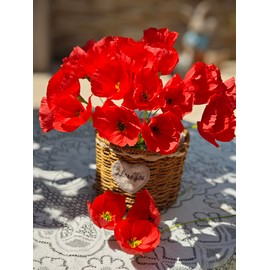 Red Crepe Paper Poppy Flower DIY Making Kit 24 Count Home Decor Gift Giving Perfect for Beginners and Craft Enthusiasts