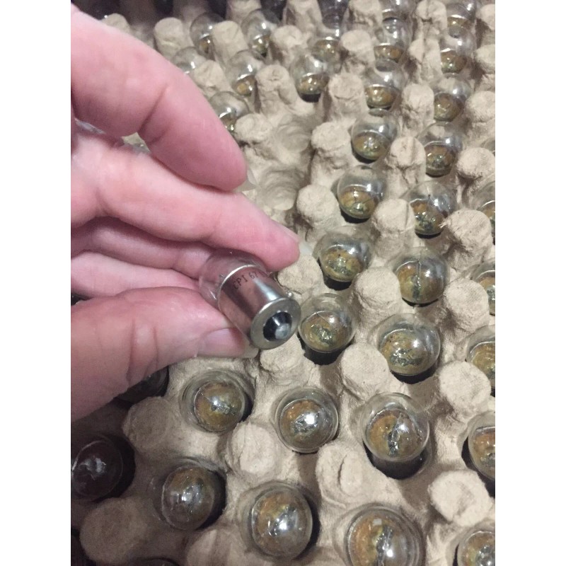 candlepower VW 12 Volt License Light or Rear Tail Light