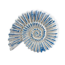 roro Handcarved Nautical Coastal Wood Nautilus Shell Wall Hanging, Blue Wash