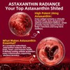 Astaxanthin 24mg with MCT Oil, Astaxanthin Antioxidant Supplements with Ashwagandha,