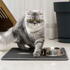 Conlun Cat Litter Mat Litter Tray Mat, Honeycomb Double Layer