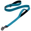 PetiFine 4FT Heavy Duty Dog Leash with Soft Padded Double