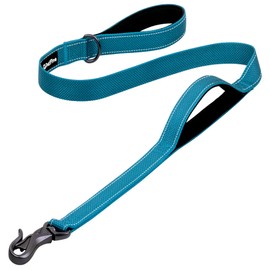 PetiFine 4FT Heavy Duty Dog Leash with Soft Padded Double Handle, Durable Strong Clasp Dog Leashes, Reflective Nylon Walking Lead for Large,Medium,Small Breed Dogs, Blue
