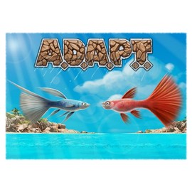 ADAPT - The card & dice game
