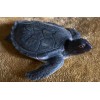 Sea Turtle Baby - AAA Replica
