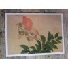 Vintage 1982 Folded Blank Greeting Note Card NASTURTIUM by Yun