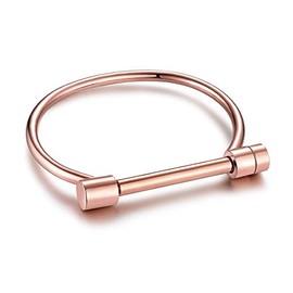 Jaywenlend Men Women's Cuff Bracelet Bangle Bar Screw Shackle Novelty In Polished Stainless Steel (Rose Gold)