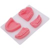 Rubonarie Suture Practice Kit Dental Suture Practice Kit Oral Suture