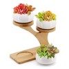 Gearific Succulent Pots, Ceramic Flower Pot with Bamboo Tray Holder,
