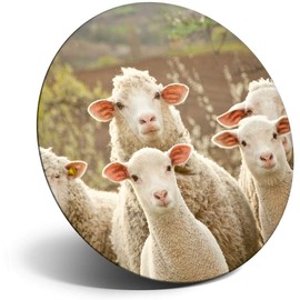 Destination Vinyl ltd Magnet for Refrigerator, Fridge - Sheep Flock Farm Farmer Cute Funny for Office, Cabinet and Whiteboard, Magnetic Stickers, 24178