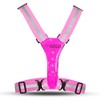 gato Led Safer Sport vest pink