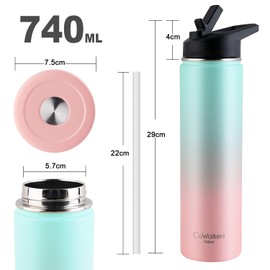 Termo de Acero Inoxidable para Agua Fría y 2 Tapas - Botella Térmica Metálica con Doble Pared para Mantener el Frío Gimnasio, Deportes y Oficina (RosaVerde, 0.7 Litros)
