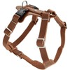 HUNTER AALBORG Dog Harness, Leather, M-L/1, Cognac
