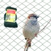 Anti Bird Netting for Garden Woven Mesh - Heavy Duty