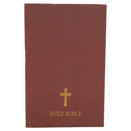 Combination Lock Hidden Bible Book Safe Realistic Design, Retro Decor, My Saving Box for Home or Office, Unique Christmas or Birthday Present (Holy Bible) (Bible)