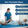 Non Flushable Wet Wipes for Adults - Case of 600