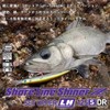 Daiwa Shoreline Shiner Z Set Upper Lanker Hunter 125S-DR 4.9