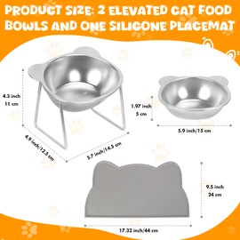 Elevated Cat Bowls, Stainless Steel Cat Food Bowls with Placemat, 15° Tilted Raised Pet Food Dishes for Cats, Kitten, Puppies and Small Dogs-2 Pack