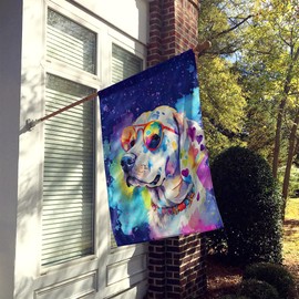 Caroline's Treasures DAC2581CHF Hippie Dawg House Flag Large Porch Sleeve Pole Decorative Outside Yard Banner Artwork Wall Hanging, Polyester, House Size, Multicolor