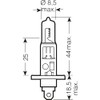 Simply S448 H1 Car Headlight Bulb, 12V, 55W, Comply with