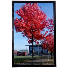 Medog 11x17 Picture Frame for Wall Black, Display pictures 11x17 Poster Frame, Wall Sign Poster Menu Photo Frames, 1 Pack