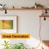 Pipe Shelf Brackets Set of 6 EQUASON Industrial Iron Shelf