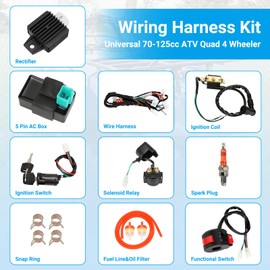 EOPOAYI Electric Wiring Harness Kit Compatible with Taotao Coolster 110cc 125cc Chinese ATV Quad 4 Wheeler 4-Stroke Parts with Starter Solenoid Relay Ignition Coil Voltage Regulator CDI Box Spark Plug