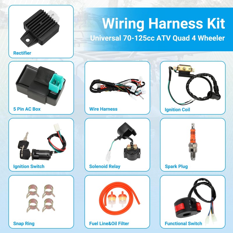 EOPOAYI Electric Wiring Harness Kit Compatible with Taotao Coolster 110cc