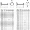 AERZETIX - C59791 - Set of 5 metal screws with