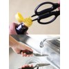 Satake Sangyo KS111 Kitchen Scissors, Titanium Coated Scissors, For Cooking,
