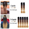 SHUOHAN 6 Packs Ombre Jumbo Braiding Hair Extensions for Women