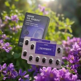 Mongul Cloud Partners Phuung Phuung Fabiflora Fabiflora Black Ginger Effectiveness Short-Term / 푸응 푸웅 파비플로라 파피플로라 흑생강 효능 단기간