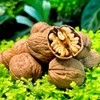 Walnuts In-shell (Whole) | California Grown (20) Lbs Pounds