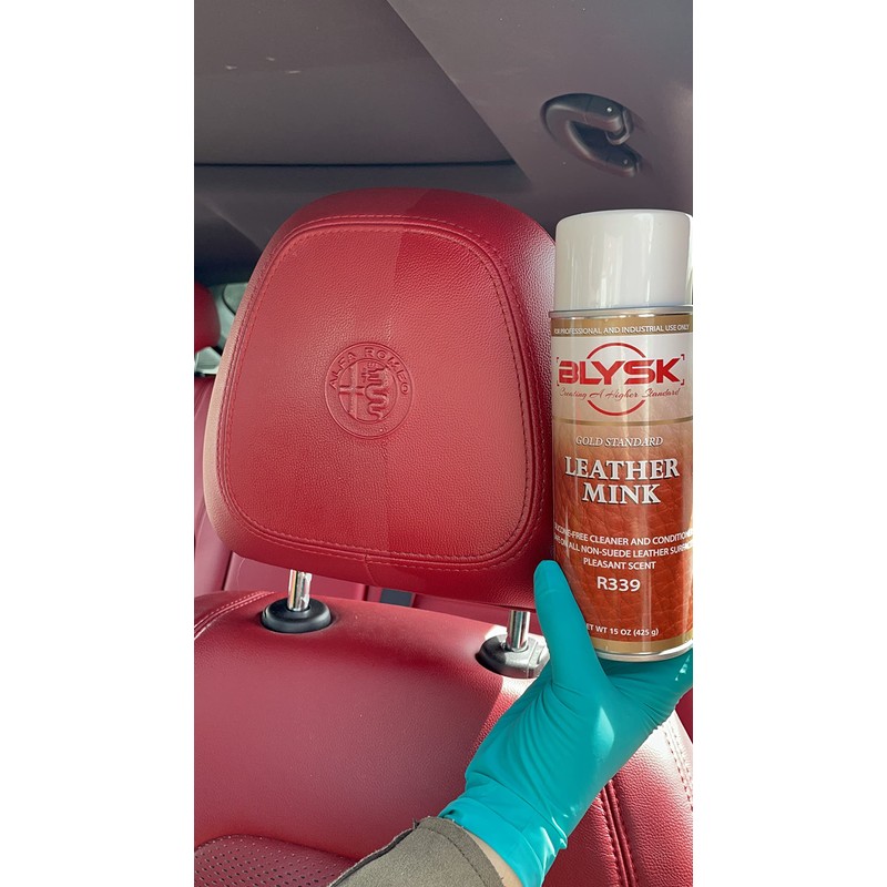Blysk Leather Mink Aerosol Upholstery Cleaner and Protactant 15 oz