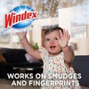 Windex Glass Cleaning Wipes, Ammonia-Free, Crystal Rain Scent, 38 Count