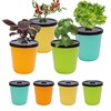 Kratky Method Hydroponic Planter Kit, 8 Hydroponic Planter Plus 24