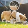 HappyHome Keychain, Nascan Swivel, Snap Hook, 1.2 inches (30 mm),