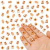 100 Pieces Tiny Capybara for Dollhouse Miniatures Resin Animals for