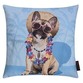 Funny Cushion Funny Animal Motifs Approximately 40 x 40 cm