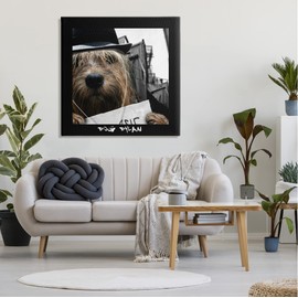 Stupell Industries Dog Dylan Funny Musician Wearing Hat Cityscape, Design by Noah Bay